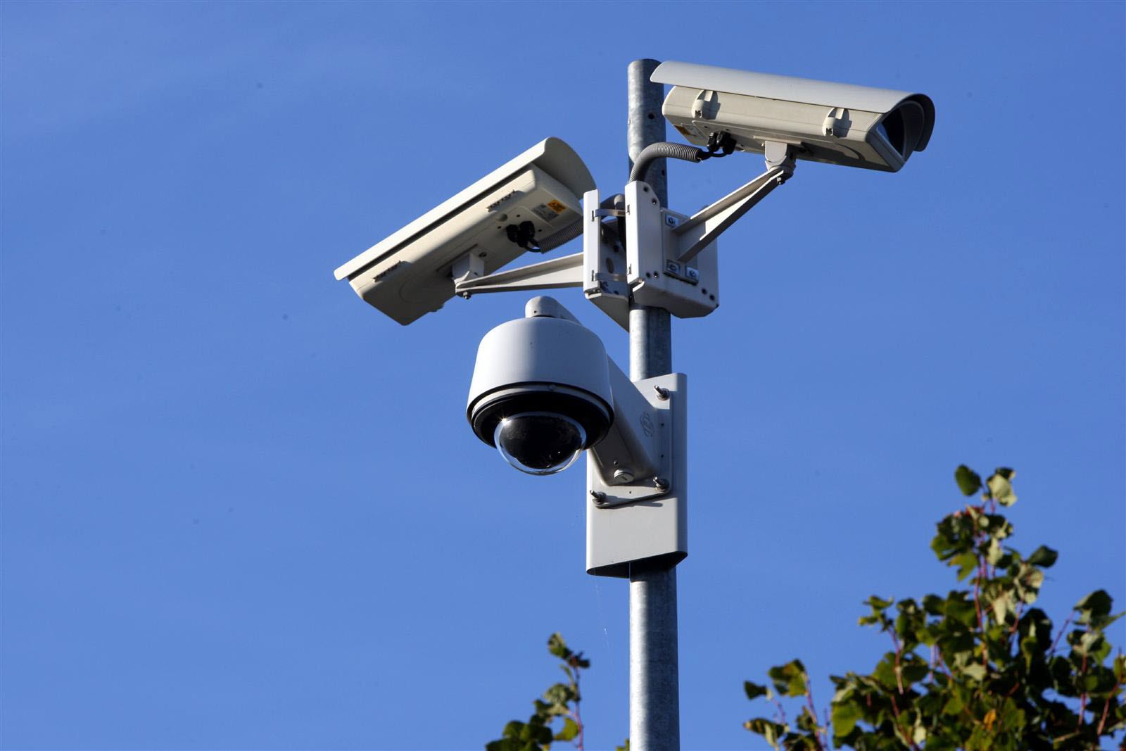 Trois caméras de surveillance fixées sur un mât métallique sous un ciel bleu avec des branches d'arbre visibles en bas à droite