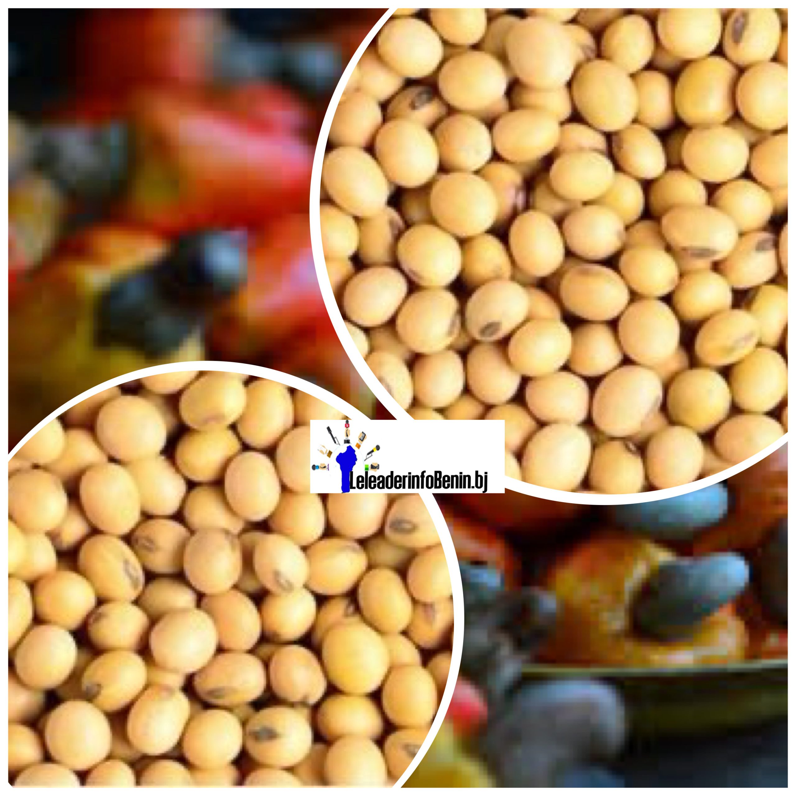 grains de soja en gros plan en cercles superposés sur des fruits d’anacarde en arrière-plan flouté