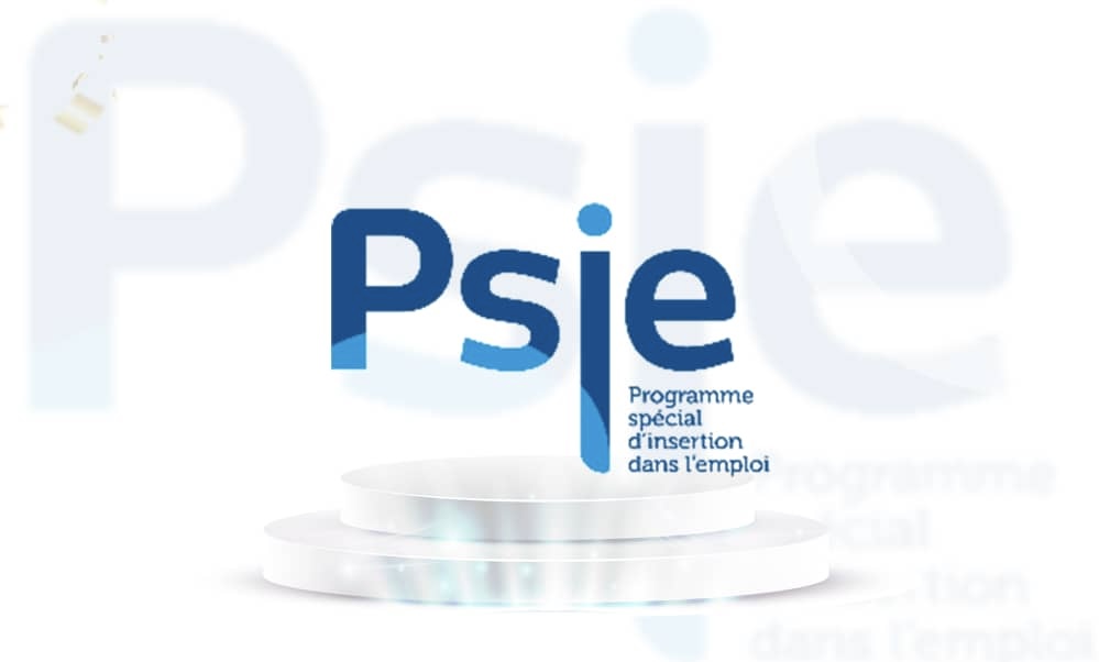 Logo bleu et blanc du Programme spécial d'insertion dans l'emploi sur un fond légèrement flouté du même logo