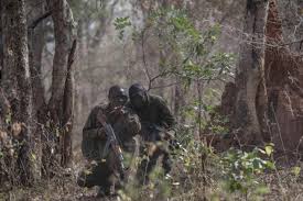 Deux hommes en tenue militaire camouflés accroupis dans une zone boisée dense en train de manipuler un équipement