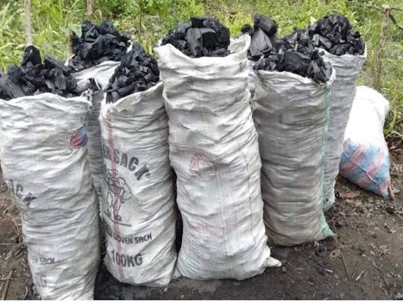 Sacs en toile remplis de morceaux de charbon posés sur le sol en milieu végétal