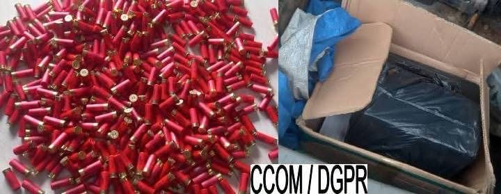 Plusieurs centaines de cartouches de calibre 12 rouges étalées au sol et dans une boîte en carton ouverte avec un sac noir à l’intérieur